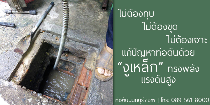 ท่อตันแก้ได้ งูเหล็ก